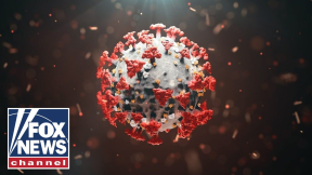 United States exceeds 13 million COVID-19 cases