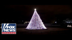 Live: National Forest Service, National forest Structure hosts tree lighting event