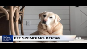 Americans are forecasted to spend $99 billion on their family pets this year