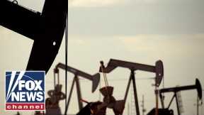 Can the US survive without coal and gas? West Virginia gov weighs in