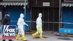 WHO researchers touchdown in Wuhan to study the origin of coronavirus