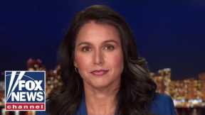 Tulsi Gabbard: Proposed domestic terrorism laws 'directly undermine' freedom