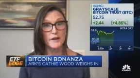 Ark Invest's Cathie Wood talks bitcoin's prospects