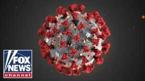 How new COVID strains challenge the vaccines | FOX News Rundown