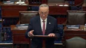 Senate Majority Leader Chuck Schumer delivers remarks after Trump acquittal