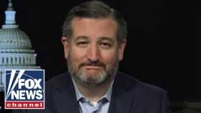 Ted Cruz: Impeachment 'political theater' is aimed at erasing Trump voters