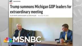 How One Man Stood Up To Trump And Saved Democracy For Michigan | Rachel Maddow | MSNBC