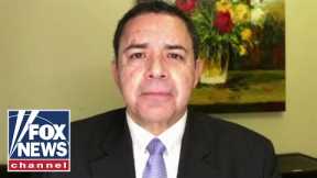 Texas Democrat warns of 'humanitarian crisis' if border surge continues