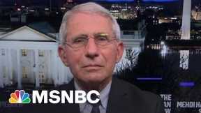 Dr. Fauci On The Latest U.S. Covid-19 Response | MSNBC