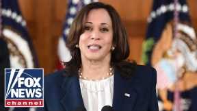 Kamala Harris actively 'avoids' border crisis: Border Patrol Council President
