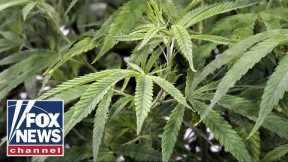 Virginia first state in South to legalize recreational marijuana