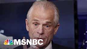Fox News Lets Fmr. Trump Aide Navarro Blame Fauci For Covid | The 11th Hour | MSNBC