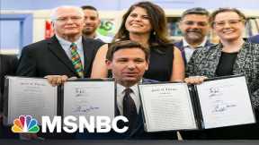 Rep. Charlie Crist Says New Florida Voting Law “Doesn’t Make Any Sense Whatsoever” | MSNBC