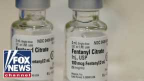 'The Five' react to 'staggering' amount of fentanyl coming across border