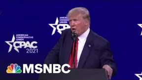Colossal Failure: Trump’s New Blog Has Less Traffic Than Petfinder | MSNBC