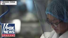 'The Five' slam media's 'purely political' about-face on Wuhan lab leak theory