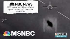 Government Report on UFOs
