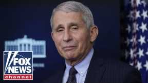 'The Five' slam emails revealing Dr. Fauci's relationship with China