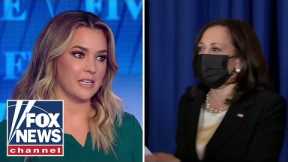 Pavlich on Harris' 'cringey' interview: There's a reason she got zero votes