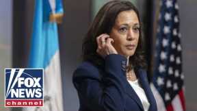 Ex-Kamala Harris aide gives interesting excuse for immigration interview