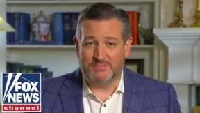 Ted Cruz: Saying GOP wants to defund police is like saying Dems want to build a wall