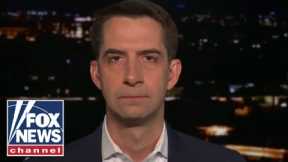 Tom Cotton: It is time to lower the boom on China