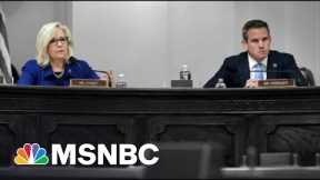 Trump Loyalists Want Liz Cheney And Adam Kinzinger Out Of GOP Caucus