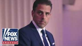 Ex-Obama ethics director blasts Hunter Biden's art sale plan