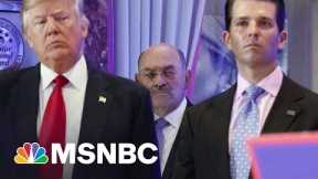 What Will Likely Happen Next After Trump Org. Indictments?