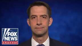 Tom Cotton: Joe Biden looks 'deeply confused'