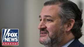 Ted Cruz shreds Biden for 'super spreader' at the border