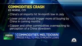 We are in favor of buying the dips on oil and industrial metals: Citi's Ed Morse