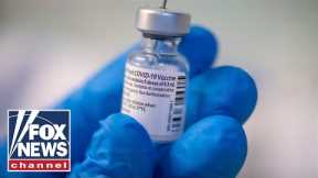 Vaccine mandates have started. Will your town be next? | FOX News Rundown