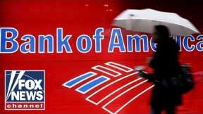 Bank of America has 'disturbing' warning about toddlers in woke program