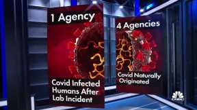 Intel agencies divided over Covid origins