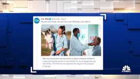 CDC warns people to avoid using animal de-worming drug to treat Covid
