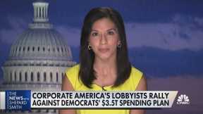 Lobbyists rally to oppose key parts of $3.5 billion Biden budget