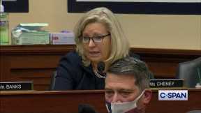 Rep. Liz Cheney Thanks Gen. Milley for Standing in the Breach