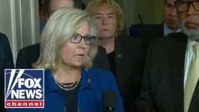 Ex-Cheney adviser now challenging her in GOP primary