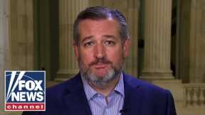 Ted Cruz: There is no decision in your life the Dems will not try to control