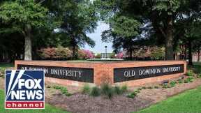 ‘The Five’ blast woke professor trying to rebrand pedophilia