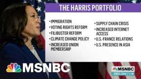 First Black Woman Vice President Faces  Rumors Of Disarray Despite Numerous Successes