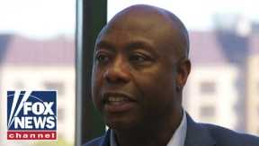 Tim Scott reacts to 2024 presidential bid speculation