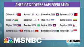 The Growing Asian American Electorate Is Finding Its Power