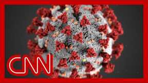 WHO names new 'variant of concern' Omicron