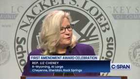 Rep. Liz Cheney calls Former President Trump Domestic Threat