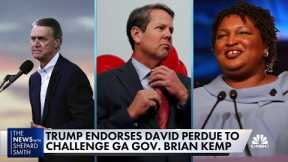 Trump endorses former Ga. Senator David Perdue in governor's race