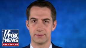This is who the White House is now blaming for inflation: Cotton