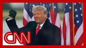 Calling Trump a terror movement leader is 'too kind' says analyst