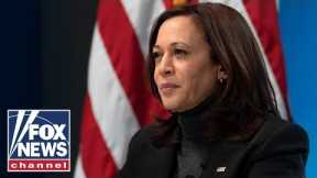 This is why Kamala Harris should be 'far away' from public policy: Ramaswamy